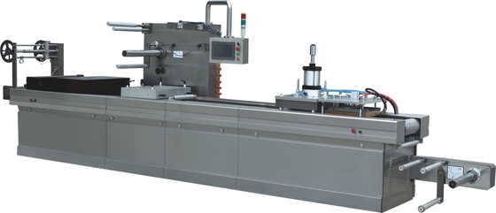 Convenient Adjustment Thermoforming Vacuum Packaging Machine Stainless Steel Fuselage