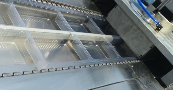 Convenient Adjustment Thermoforming Vacuum Packaging Machine Stainless Steel Fuselage